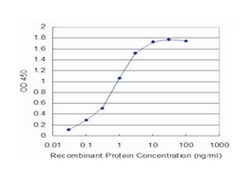 FADD, Mouse, Clone: 1G6, Abnova 100&mu;g; Unlabeled:Antibodies, Monoclonal