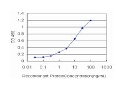 vanin 1, Mouse, Clone: 2B10, Abnova 100&mu;g; Unlabeled:Antibodies, Monoclonal