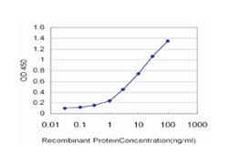 starch binding domain 1, Mouse, Clone: 4H4, Abnova 100 &mu;g | Buy Online | Abnova Corporation | Fisher Scientific