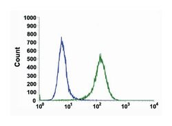 Aurora Kinase A/B/C, Rabbit, Clone: SP201, Abnova 100&mu;L; Unlabeled:Antibodies,