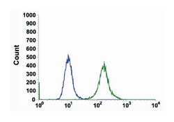 CD276, Rabbit, Clone: SP206, Abnova 100&mu;L; Unlabeled:Antibodies, Monoclonal