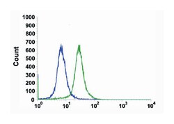 FBXW7, Rabbit, Clone: SP237, Abnova 100 &mu;L | Buy Online | Abnova Corporation | Fisher Scientific