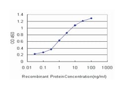 BMP2 inducible kinase, Mouse, Clone: 1F11, Abnova 100 &mu;g | Buy Online | Abnova Corporation | Fisher Scientific