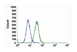 CCND3, Rabbit, Clone: SP207, Abnova 100&mu;L; Unlabeled:Antibodies, Monoclonal