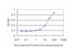 sphingosine kinase 1, Mouse, Clone: 1D6, Abnova 100&mu;g; Unlabeled:Antibodies,