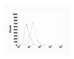 EGFR, Rabbit, Clone: SP9, Abnova 100 &mu;L | Buy Online | Abnova Corporation | Fisher Scientific