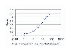cAMP responsive element binding protein 5, Mouse, Clone: 8A5, Abnova 100&mu;g;