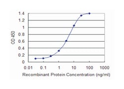 ULK2, Mouse, Clone: 1A1, Abnova 100&mu;g; Unlabeled:Antibodies, Monoclonal