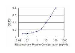 ULK2, Mouse, Clone: 7G5, Abnova 100&mu;g; Unlabeled:Antibodies, Monoclonal