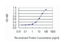family with sequence similarity 65, member B, Mouse, Clone: 2F6-1A11, Abnova