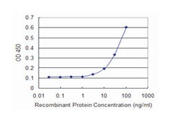 thioredoxin domain containing 4 (endoplasmic reticulum), Mouse, Clone: