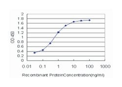 basic leucine zipper transcription factor, ATF-like, Mouse, Clone: 1G4,