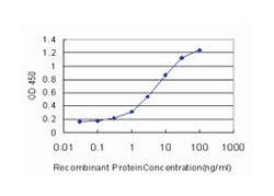 ADAM-like, decysin 1, Mouse, Clone: 6C4, Abnova 100&mu;g; Unlabeled:Antibodies,