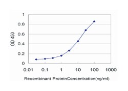 GATA zinc finger domain containing 2B, Mouse, Clone: 4C4, Abnova 100&mu;g;