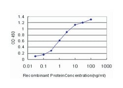AF4/FMR2 family, member 4, Mouse, Clone: 2E12, Abnova 100&mu;g; Unlabeled:Antikroppar