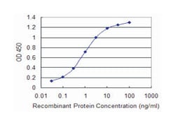 MAGI2, Mouse, Clone: 6F5, Abnova 100&mu;g; Unlabeled:Antibodies, Monoclonal