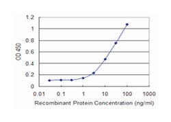HDAC6, Mouse, Clone: 3A6, Abnova&trade;