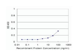 DNM1L, Mouse, Clone: 1D6, Abnova 100&mu;g; Unlabeled:Antibodies, Monoclonal