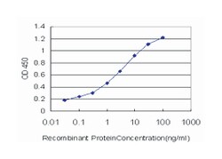 serum/glucocorticoid regulated kinase 2, Mouse, Clone: 4G4, Abnova 100&mu;g;