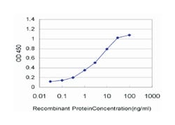 small nuclear RNA activating complex, polypeptide 5, 19kDa, Mouse, Clone: