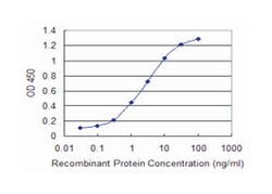 PPARGC1A, Mouse, Clone: 2G8, Abnova 100&mu;g; Unlabeled:Antibodies, Monoclonal