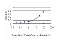 interferon regulatory factor 9, Mouse, Clone: 1D11, Abnova 100&mu;g; Unlabeled:Antibodies,
