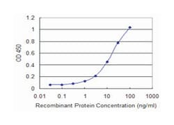 TRAF2 and NCK interacting kinase, Mouse, Clone: 4E4, Abnova 100 &mu;g | Buy Online | Abnova Corporation | Fisher Scientific
