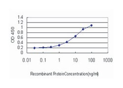 hairy/enhancer-of-split related with YRPW motif-like, Mouse, Clone: 1F6,