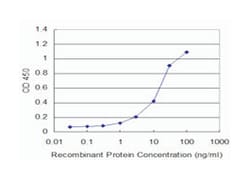 septin 11, Mouse, Clone: 1E5, Abnova 100&mu;g; Unlabeled:Antibodies, Monoclonal