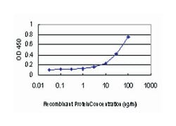tribbles homolog 3 (Drosophila), Mouse, Clone: 2G5, Abnova 100&mu;g; Unlabeled:Antibodies,