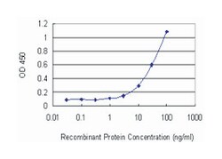 serine/threonine kinase 33, Mouse, Clone: 6G1, Abnova 100&mu;g; Unlabeled:Antibodies,