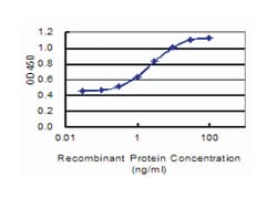 SPAG16, Mouse, Clone: 1D2, Abnova 100&mu;g; Unlabeled:Antibodies, Monoclonal