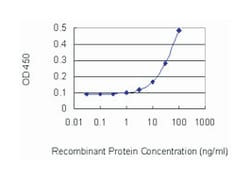 polymerase (RNA) I polypeptide B, 128kDa, Mouse, Clone: 4H6, Abnova 100&mu;g;
