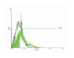 G protein-coupled receptor 77, Mouse, Purified MaxPab Polyclonal Antibody,