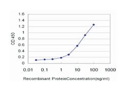 hormonally up-regulated Neu-associated kinase, Mouse, Clone: 2G3, Abnova