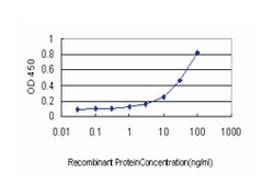 sal-like 4 (Drosophila), Mouse, Clone: 6E3, Abnova 100 &mu;g | Buy Online | Abnova Corporation | Fisher Scientific