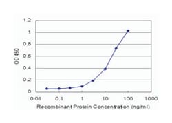 PRKR interacting protein 1 (IL11 inducible), Mouse, Clone: 4D11-3F11, Abnova