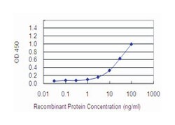 eukaryotic translation initiation factor 2C, 2, Mouse, Clone: 2E12-1C9,
