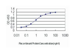 ring finger protein 12, Mouse, Clone: 1G10, Abnova 100&mu;g; Unlabeled:Antibodies,