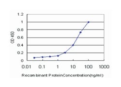 receptor-interacting serine-threonine kinase 4, Mouse, Clone: 1G2, Abnova