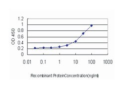 PDZ binding kinase, Mouse, Clone: 3A11, Abnova 100&mu;g; Unlabeled:Antibodies,