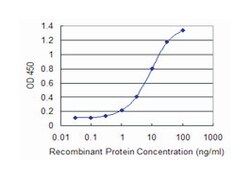 ROBO3, Mouse, Clone: 2H1, Abnova 100&mu;g; Unlabeled:Antibodies, Monoclonal