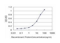Coenzyme A synthase, Mouse, Clone: 2A12, Abnova 100&mu;g; Unlabeled:Antibodies,