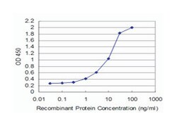 TGFB-induced factor homeobox 2, Mouse, Clone: 6A8, Abnova 100&mu;g; Unlabeled:Antibodies,