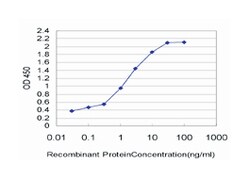 excision repair cross-complementing rodent repair deficiency, complementation