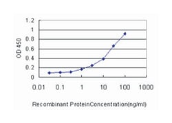 ubiquitin domain containing 2, Mouse, Clone: 1D3, Abnova 100&mu;g; Unlabeled:Antibodies,
