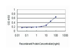 LIM domain only 3 (rhombotin-like 2), Mouse, Clone: 4B9, Abnova 100&mu;g;