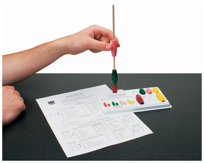 LabAids Forensic Science Introduction to DNA Fingerprinting Kit Dna