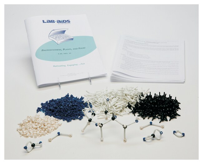 LabAids Photosynthesis Activity Kit Teaching SuppliesBiology
