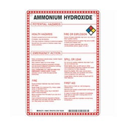 Brady™ Fiberglass Hazard Sign: AMMONIUM HYDROXIDE POTENTIAL HAZARDS